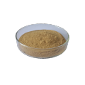 Multi Function Food Antioxidant Green Tea Extracts Polyphenols Manufactory